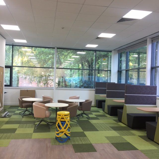 IMG_5021-e1478261560802 Gallery