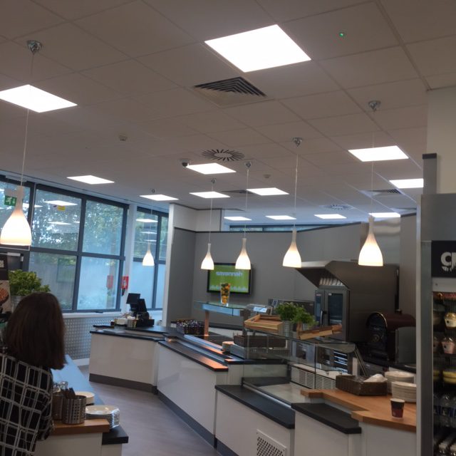 IMG_5022-e1478261572403 Gallery