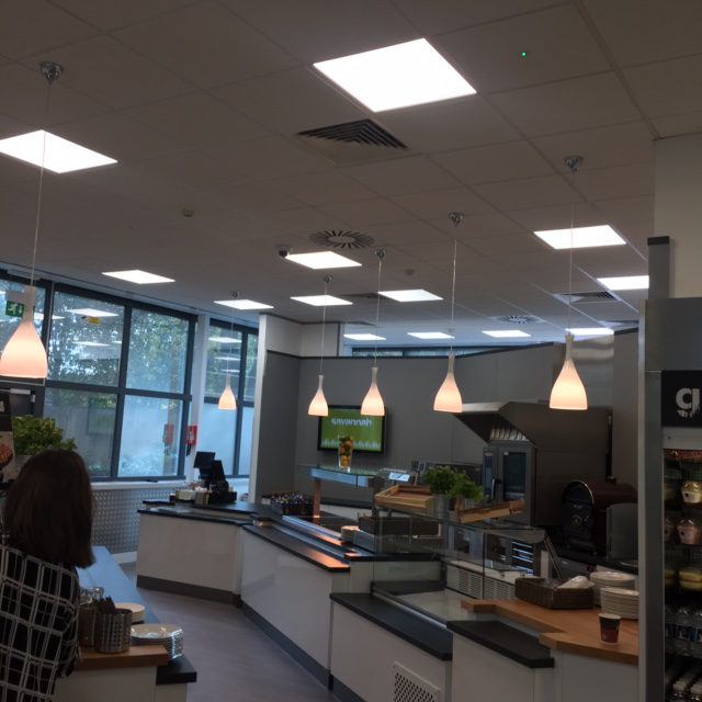 IMG_5023-e1478261582630 Gallery